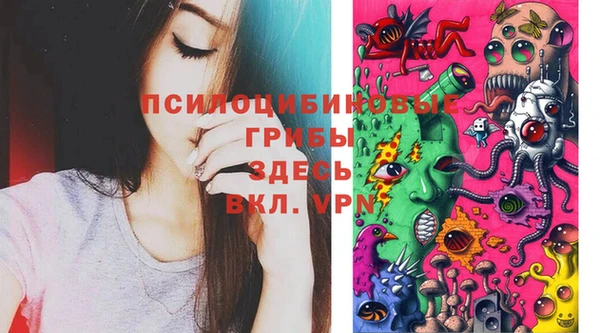 бошки Наволоки