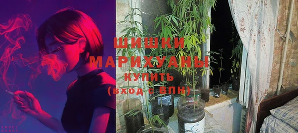 прущие грибы Навашино