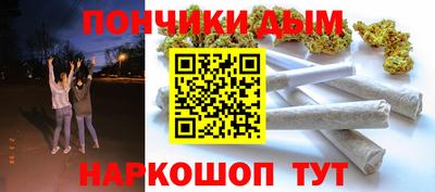 шишки Аргун