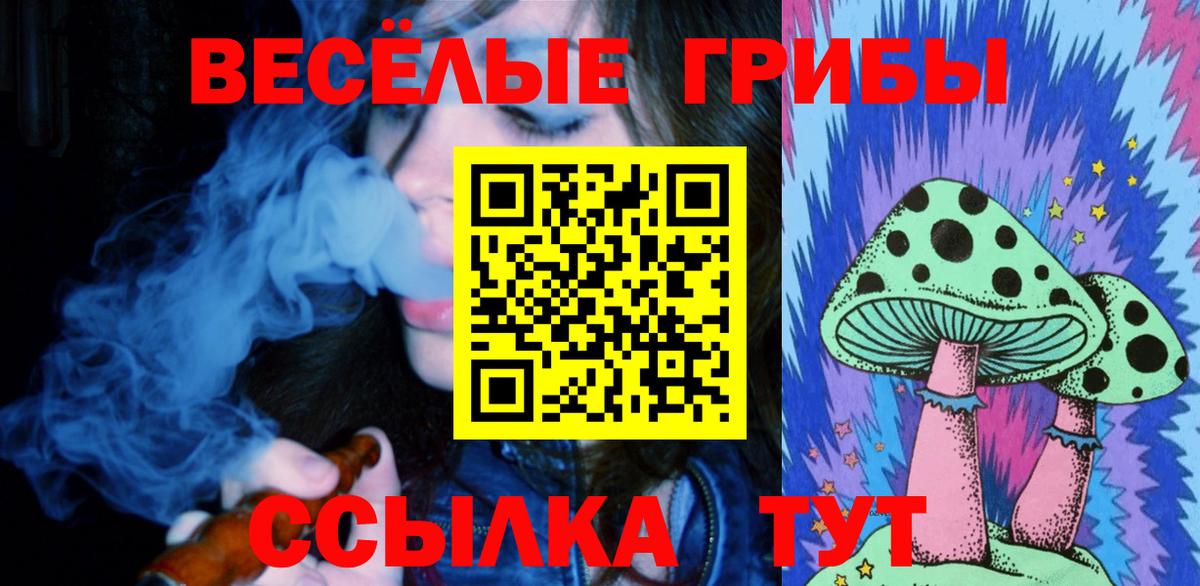 Псилоцибиновые грибы Magic Shrooms  Алейск 