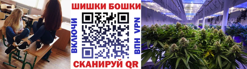 сколько стоит  Алейск  Бошки Шишки Amnesia 
